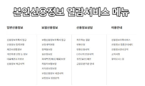 본인신용정보 열람서비스 메뉴