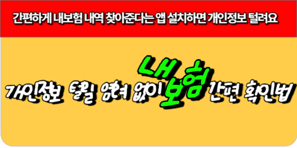 개인정보 털릴 염려 없이 내보험 간편 확인법