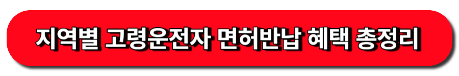 지역별 고령운전자 면허반납 혜택 총정리