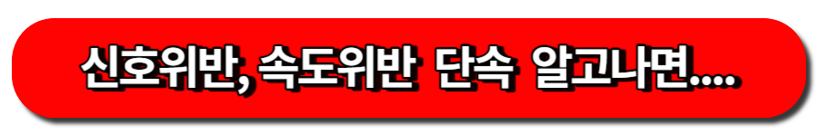 신호위반, 속도위반 카메라 단속 피하는법