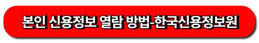 본인 신용정보 열람 방법-한국신용정보원