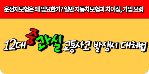 12대 중과실 교통사고 대처법-운전자보험