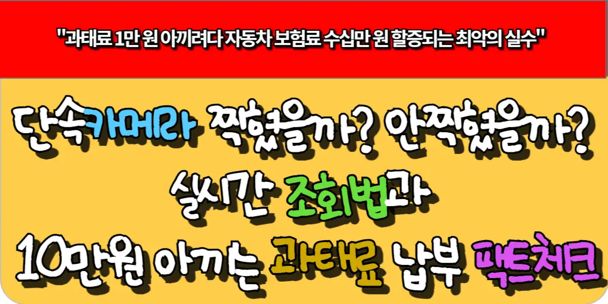 단속카메라 찍혔을까? 안찍혔을까? 실시간 조회법과 10만원 아끼는 과태료 납부 팩트체크