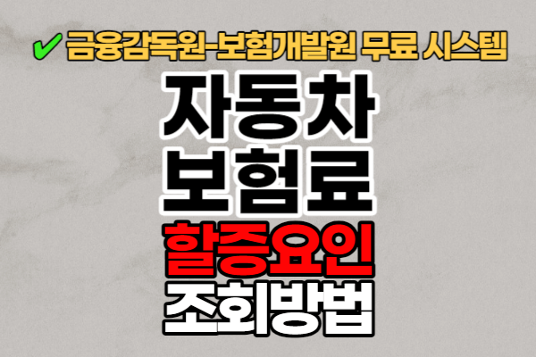 회원가입 없이 내 자동차보험료 할증요인 조회하는 방법