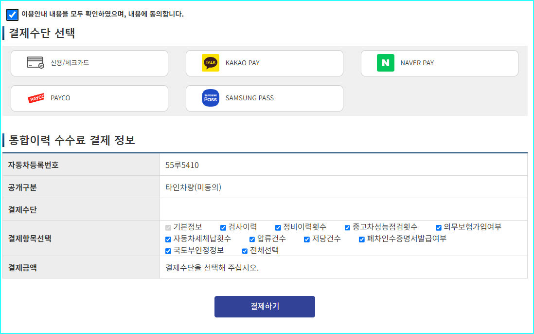 결제수단 체크