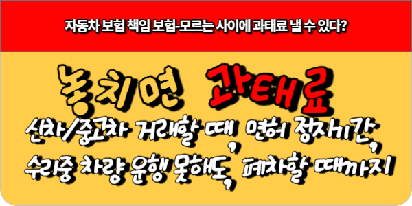 자동차 보험 책임 보험, 모르는 사이에 과태료 낼 수 있다