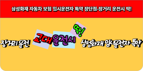 삼성화재 자동차 보험 임시운전자 특약 장단점-장거리 운전시 딱!