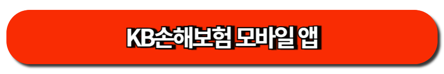 KB손해보험 모바일 앱