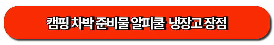 캠핑 차박 준비물 알피쿨  냉장고 장점