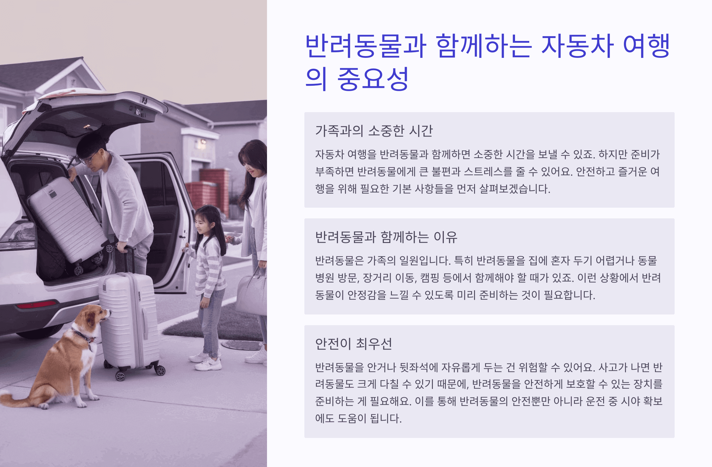 반려동물과 함께하는 자동차 여행의 중요성