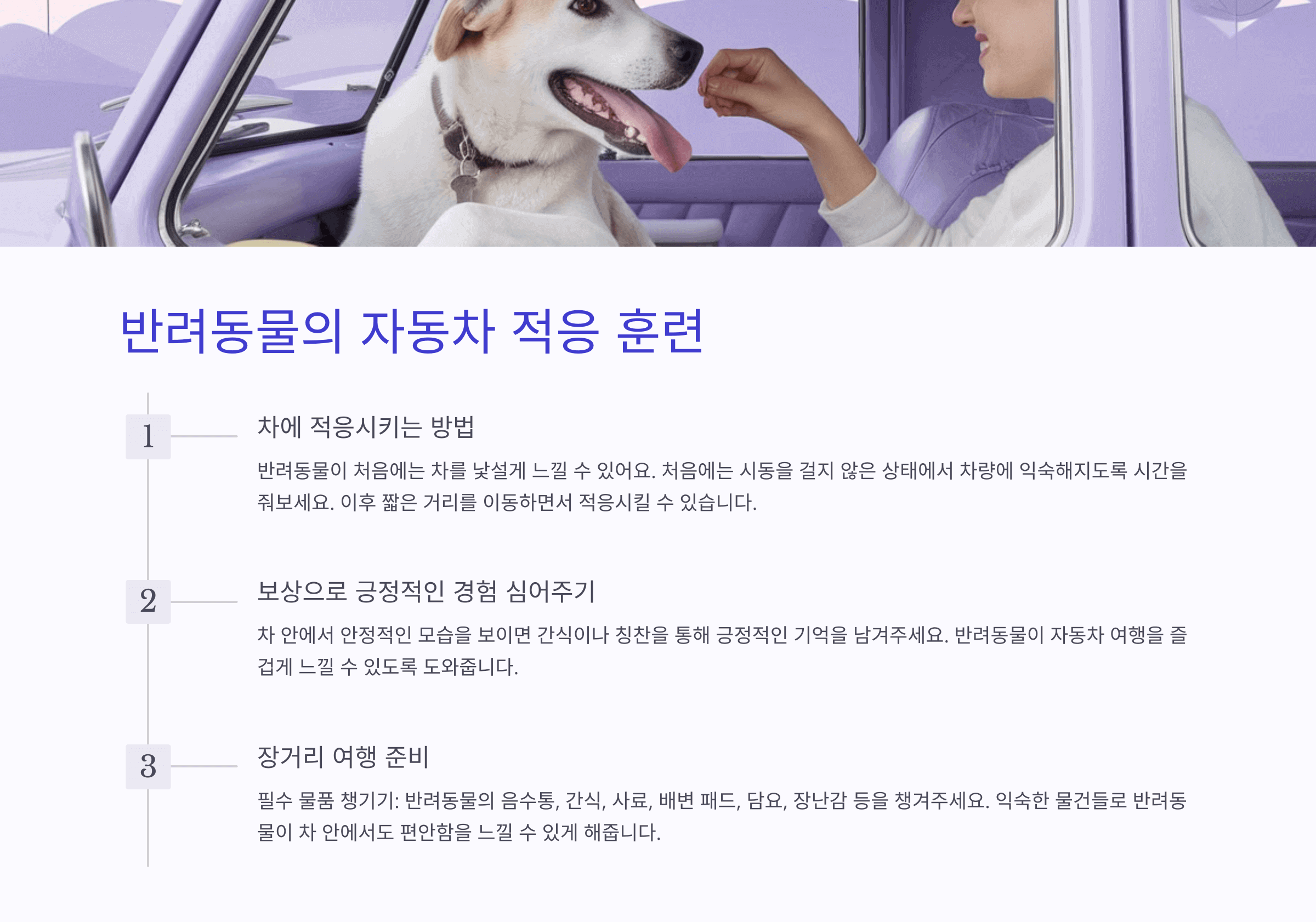 반려동물의 자동차 적응 훈련