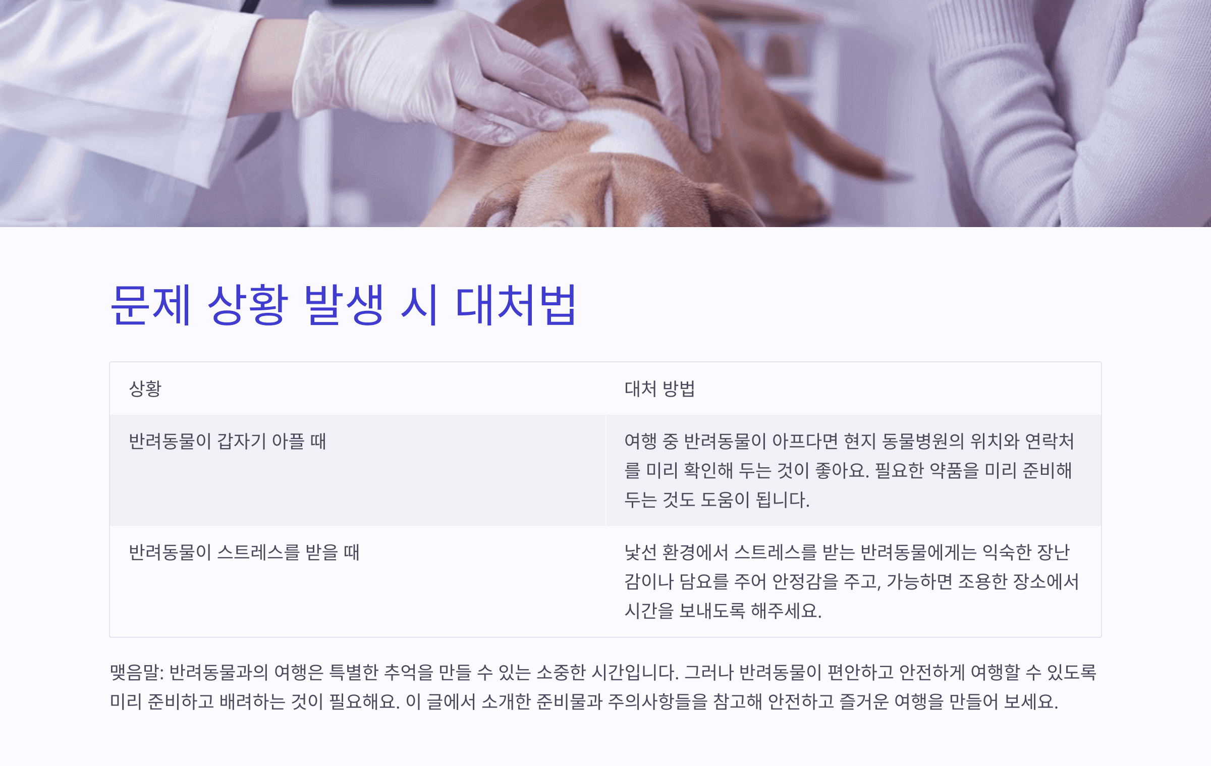 문제 상황 발생 시 대처법