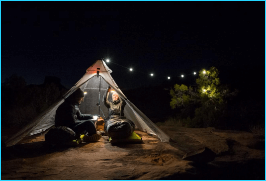 BioLite SiteLight