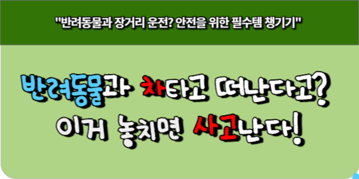반려동물 차량 탑승 시 주의사항 – 놓치면 과태료+사고 책임