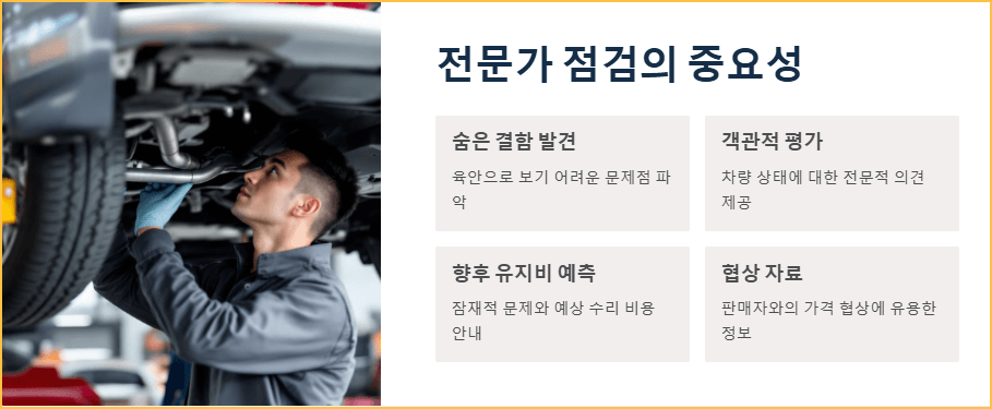 중고차 구매 전 차량 점검하는 모습