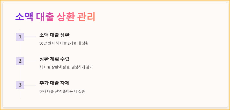 소액 대출 상환 관리