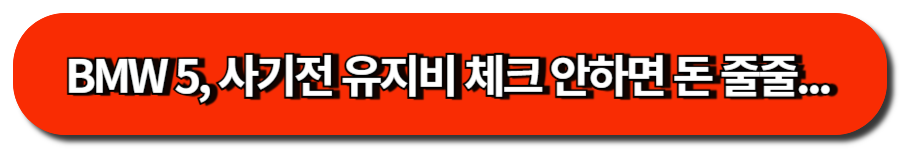 BMW 5, 사기전 유지비 체크 안하면 돈 줄줄...