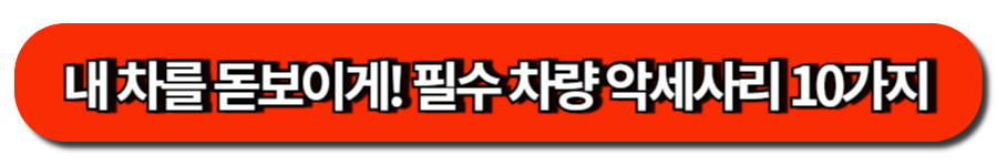 내 차를 돋보이게! 필수 차량 악세사리 10가지