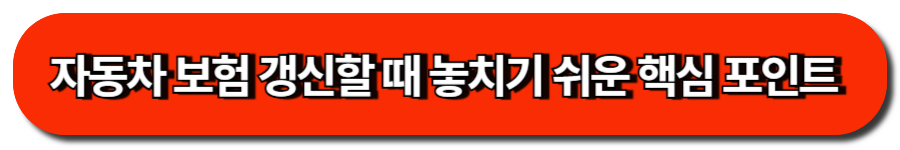 자동차 보험 갱신할 때 놓치기 쉬운 핵심 포인트 