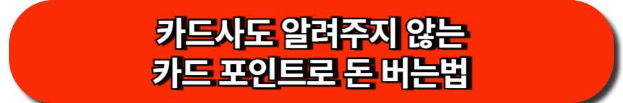 카드사도 알려주지 않는 카드 포인트로 돈 버는법