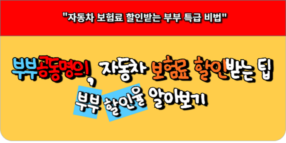부부공동명의 자동차, 보험료 할인받는 팁 - 부부 할인율 알아보기