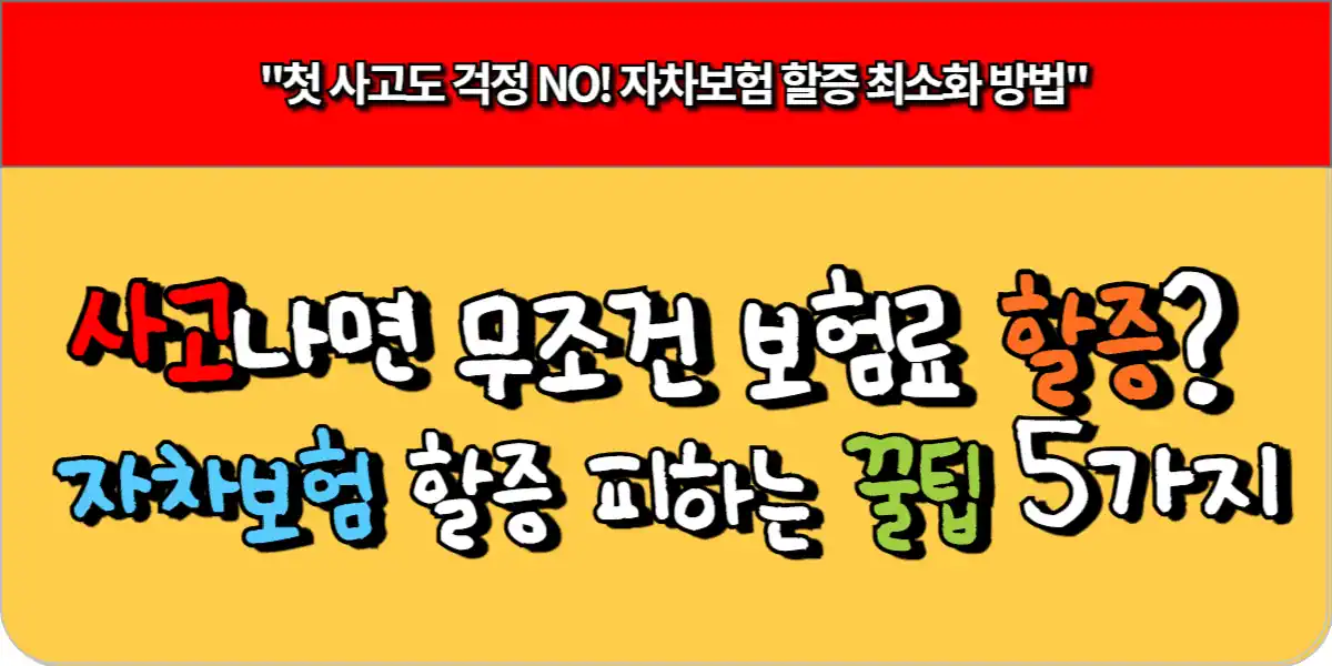 사고나면 무조건 보험료 할증 자차보험 할증 피하는 꿀팁 5가지