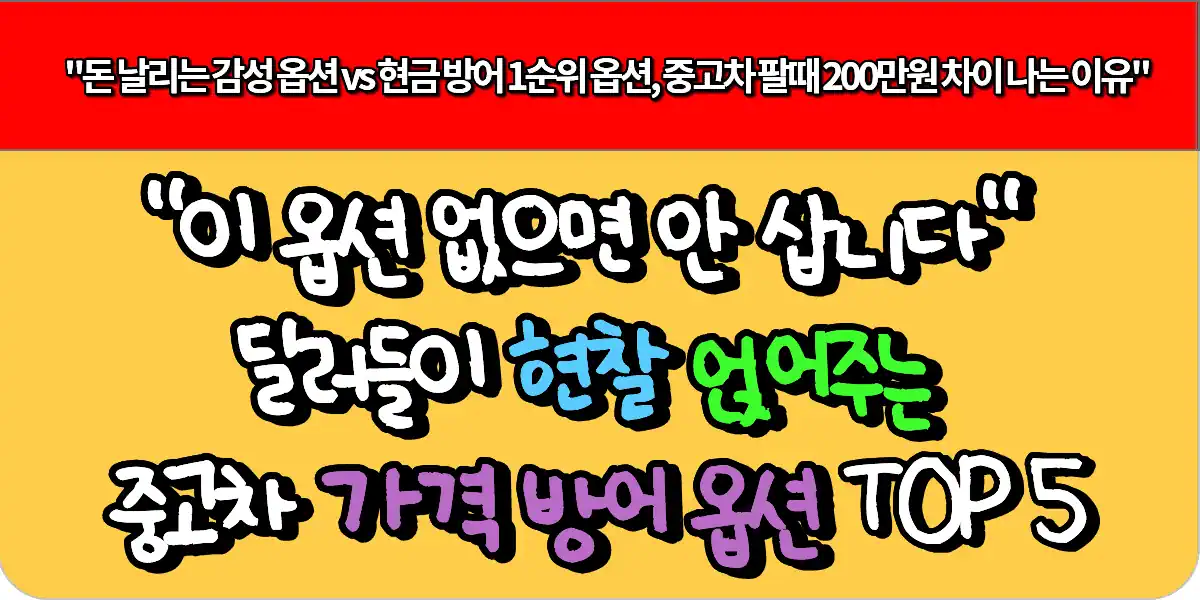 "이 옵션 없으면 안 삽니다" 딜러들이 현찰 얹어주는 중고차 가격 방어 옵션 TOP 5