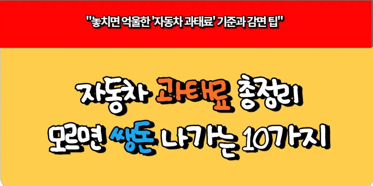 자동차 과태료 총정리, 모르면 쌩돈 나가는 10가지