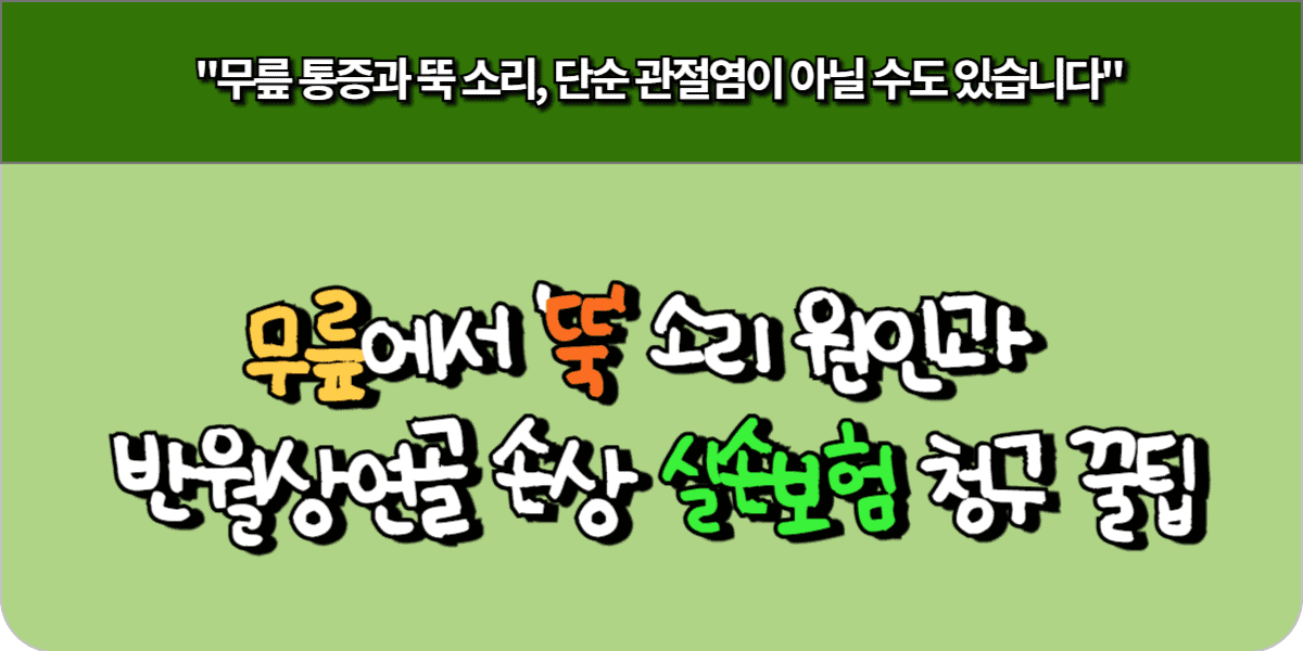 무릎에서 '뚝' 소리 원인과 반월상연골 손상 치료비, 실손보험 청구 꿀팁