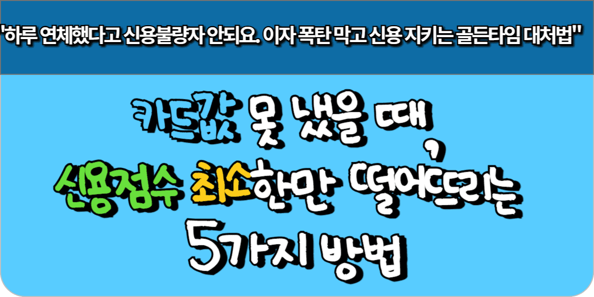 카드값 못 냈을 때, 신용점수 최소한만 떨어뜨리는 5가지 방법