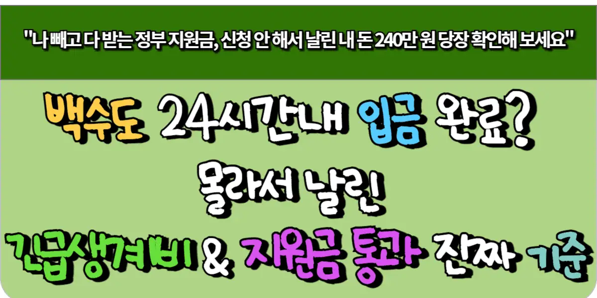 백수도 24시간 내 입금 완료? 몰라서 날린 긴급 생계비 & 지원금 심사 통과 팩트 1 백수도 24시간 내 입금 완료 몰라서 날린 긴급 생계비 & 지원금 심사 통과 팩트