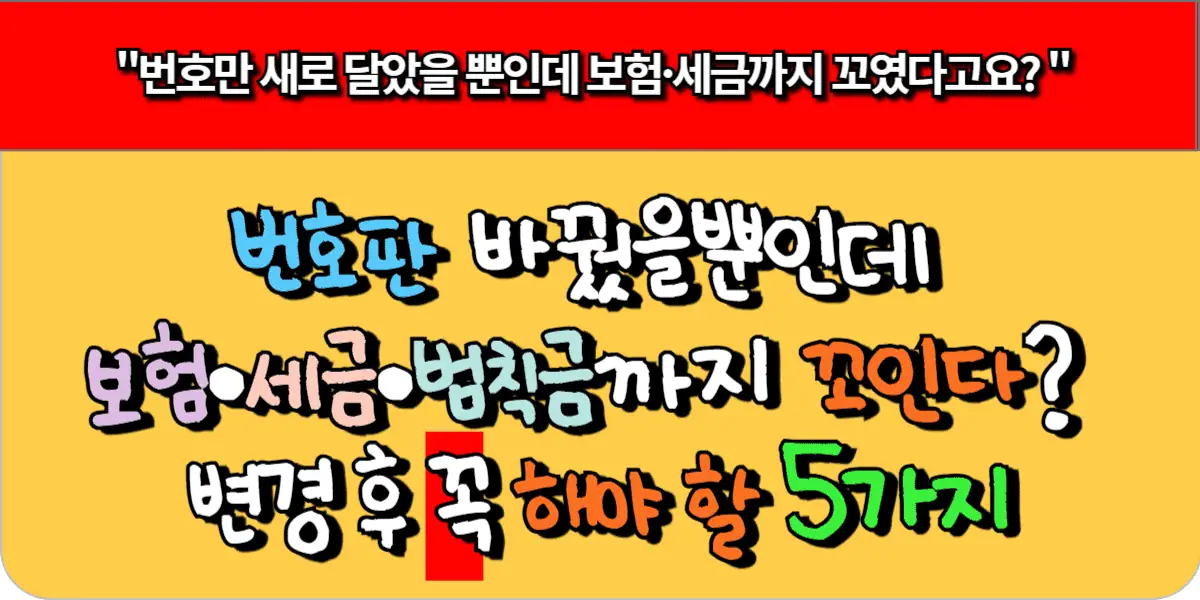 번호판 바꿨을뿐인데 보험·세금·범칙금까지 꼬인다 변경후 꼭 해야 할 5가지