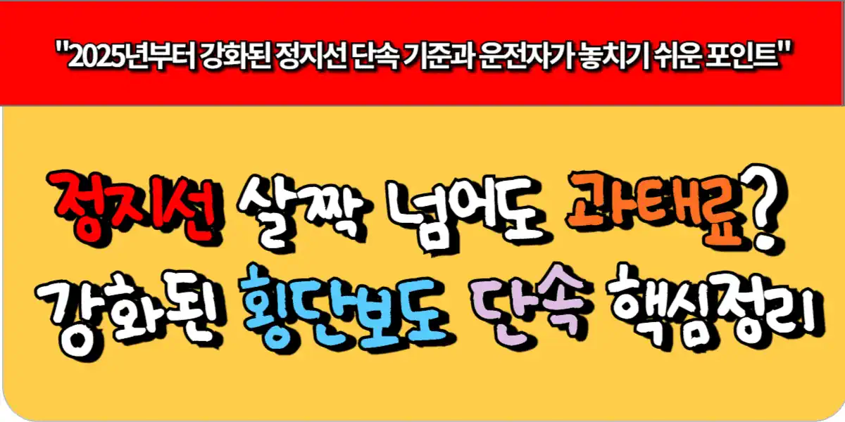 정지선 살짝 넘어도 과태료? 강화된 횡단보도 단속 핵심정리