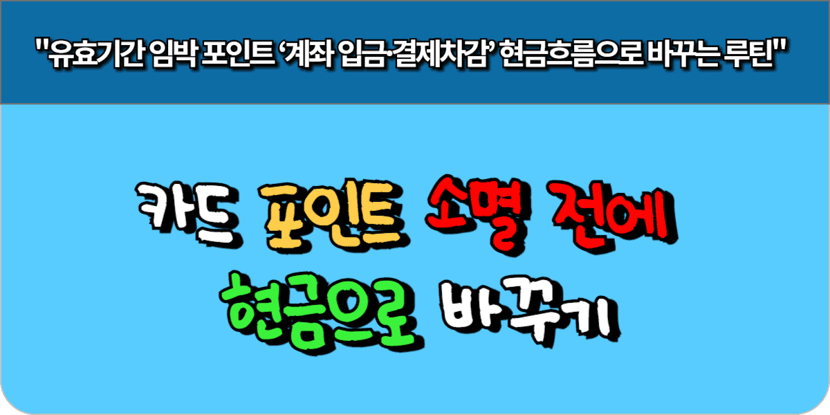 카드 포인트 소멸 전에 현금으로 바꾸기