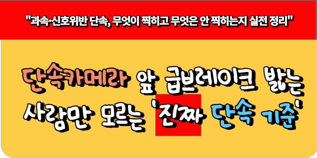 단속카메라 앞 급브레이크 밟는 사람만 모르는 '진짜 단속 기준'