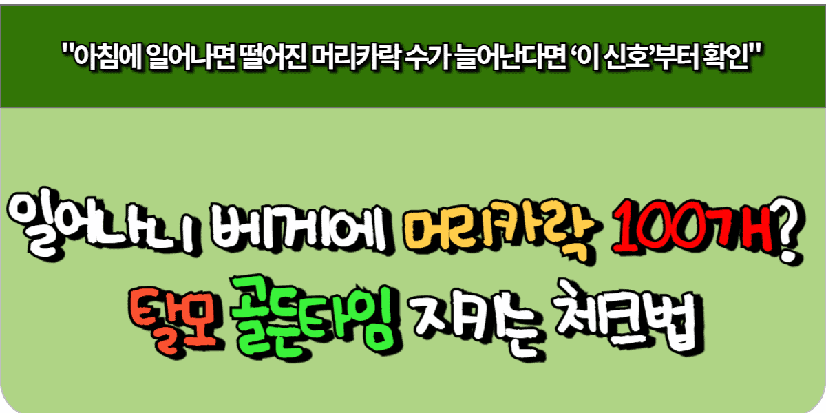 일어나니 베게에 머리카락 100개 탈모 골든타임 지키는 체크법