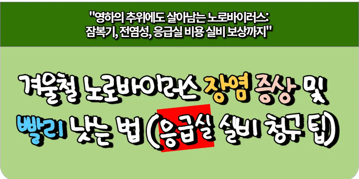 겨울철 노로바이러스 장염 증상 및 빨리 낫는 법 (응급실 실비 청구 팁)