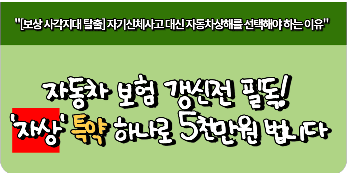 자동차 보험 갱신 전 필독! '자상' 특약 하나로 5천만원 법니다