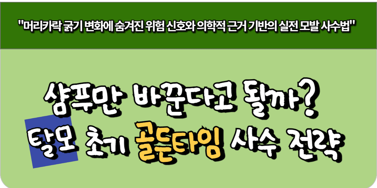 샴푸만 바꾼다고 될까? 탈모 초기 골든타임 사수 전략
