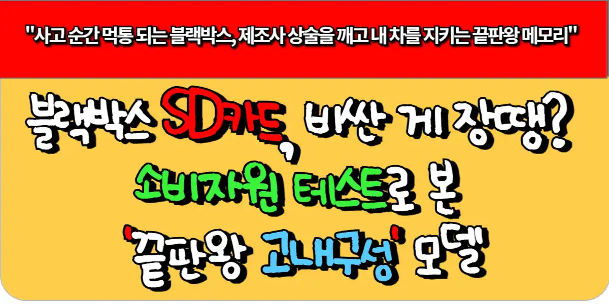 블랙박스 SD카드, 소비자원 테스트로 확인된 '끝판왕 고내구성' 모델