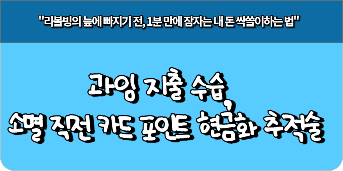 과잉 지출 수습, 소멸 직전 카드 포인트 현금화 추적술