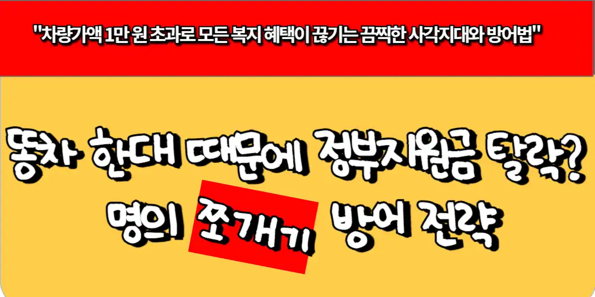 똥차 한 대 때문에 정부지원금 탈락? 명의 쪼개기 방어 전략