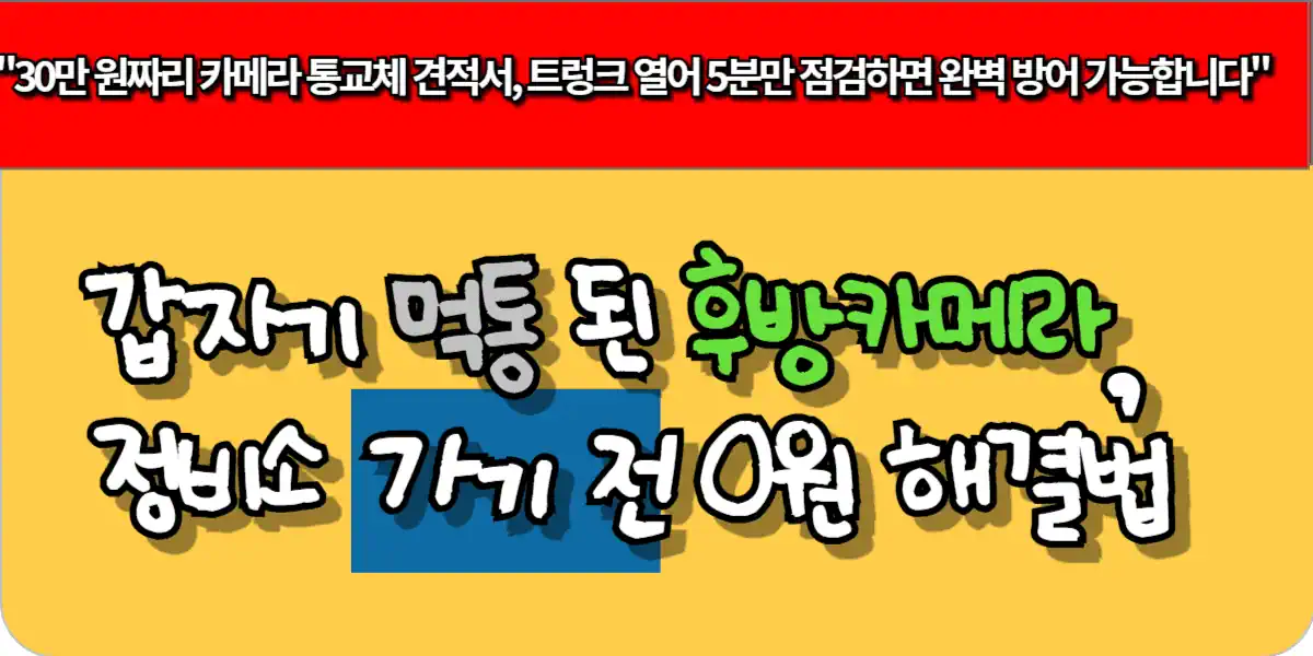 갑자기 먹통 된 후방카메라, 정비소 가기 전 0원 해결법