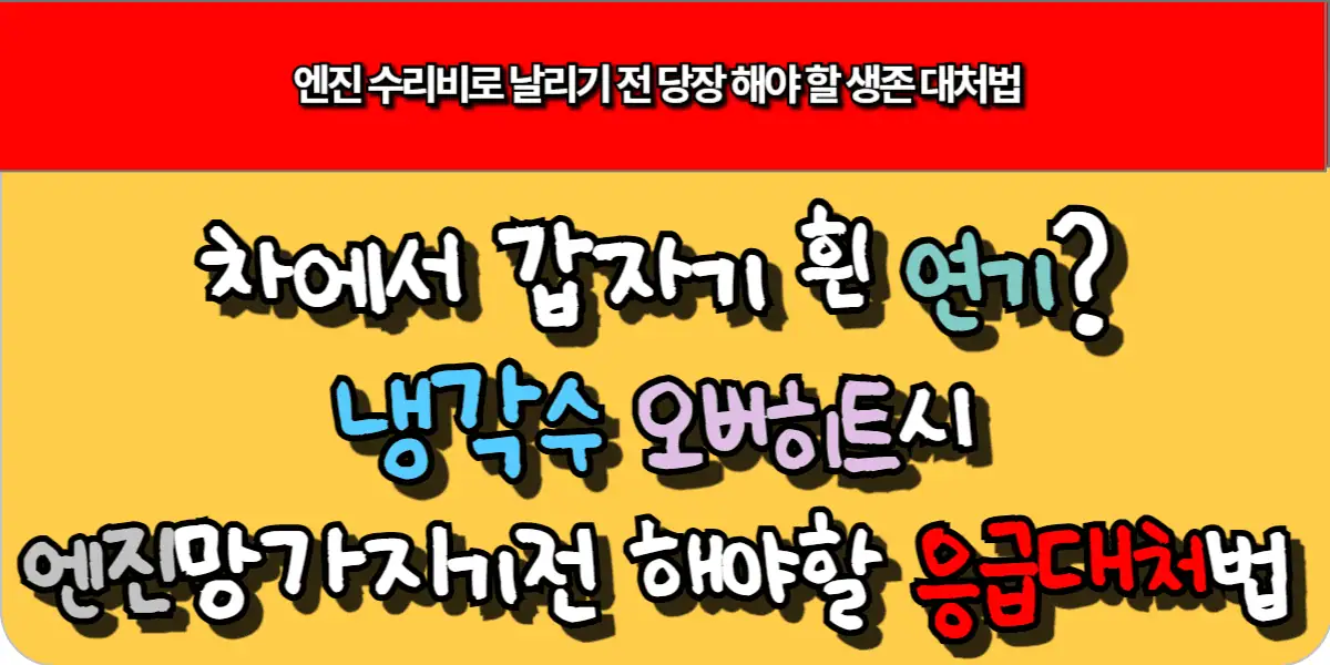 차에서 갑자기 흰 연기? 냉각수 오버히트시 엔진 망가지기전 해야할 대처법 