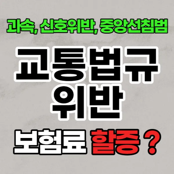 보험료 할증 이유 알아보기 - 과속, 신호위반, 교통법규 위반