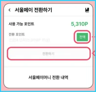 3.전환포인트 '전액'을 선택후 전환하기