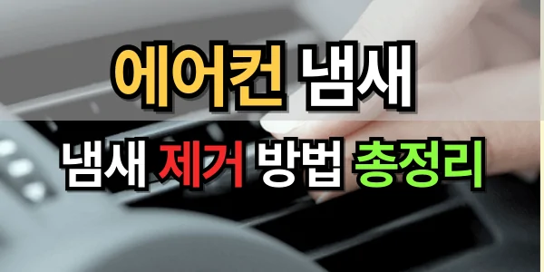 자동차 에어컨 냄새 제거 방법 총정리