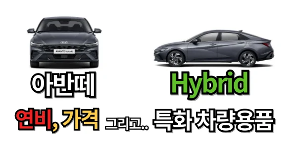 2024 더 뉴 아반떼 하이브리드 연비는, 아반떼 Hybrid 특화 차량용품까지