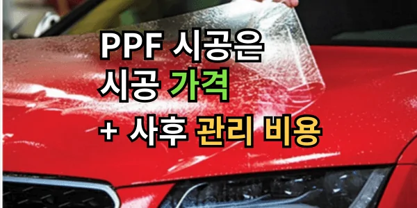 PPF 시공 가격과 사후 관리 비용