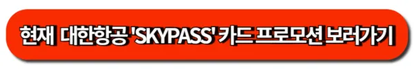 현재  대한항공 'SKYPASS' 카드 프로모션 보러가기